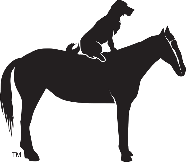 Dog on a Horse